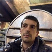 Profesor de humanidades (Historia, Geografía, Historia del arte), con experiencia en docencia y enfocado a todo tipo de alumnado